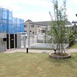 埼玉県北本市 T様邸：シンボルツリーのあるお庭